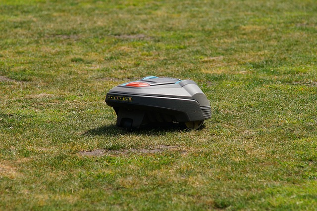 Opdag fordelene ved en robotplæneklipper til din have