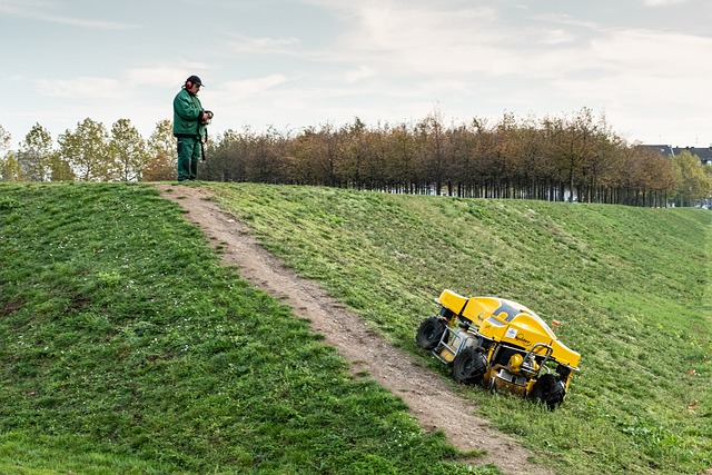 Undgå kanttråd: Vælg den bedste robotplæneklipper til din have